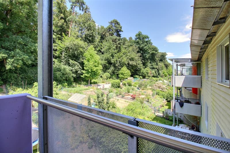 Bel appartement en attique de 4.5 pièces (1)