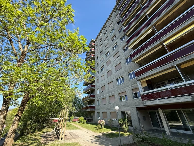Spacieux appartement familial avec beau potentiel (10)