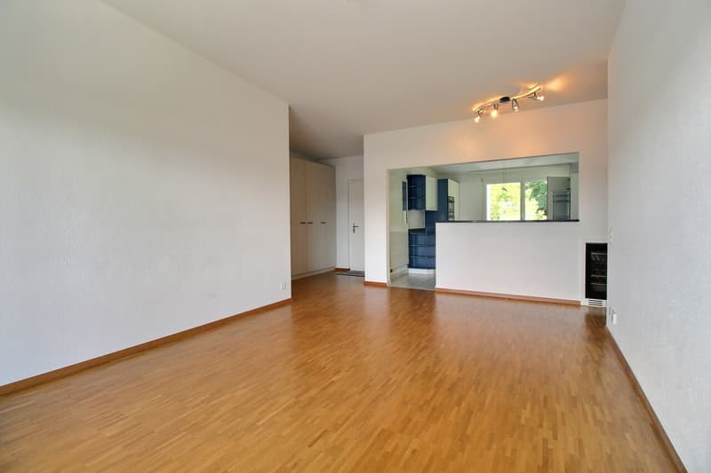 Bel appartement en attique de 4.5 pièces (1)
