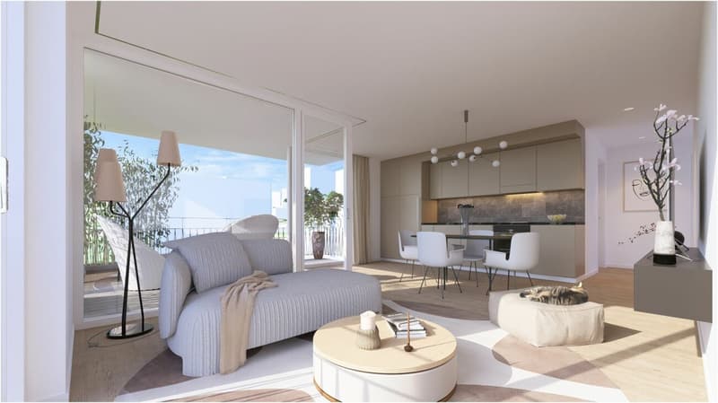 Appartement 4.5 nouvelle promotion (2)