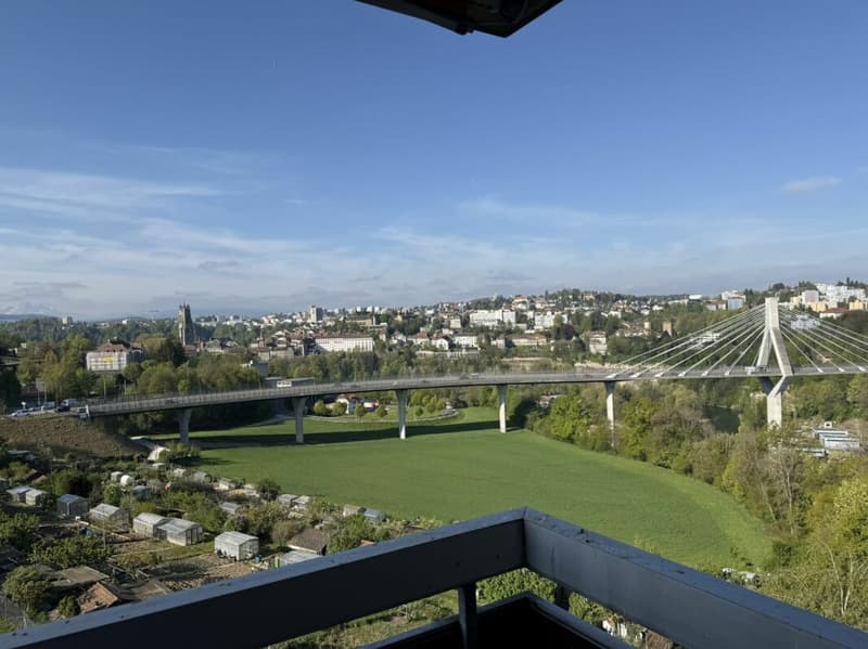 Spacieux appartement familial avec beau potentiel (1)
