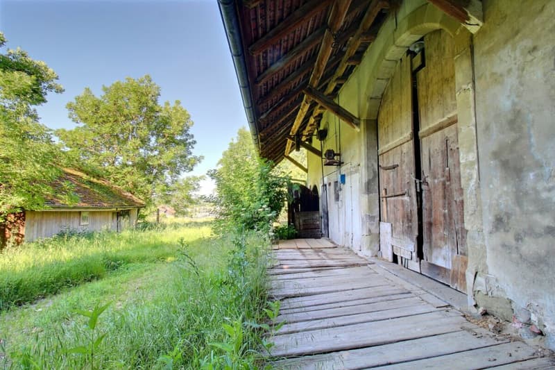 Ferme du Château (9)