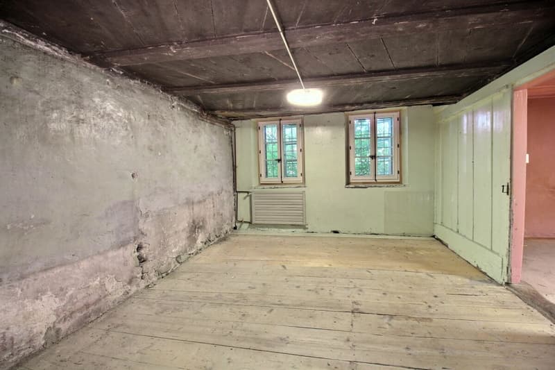 Ferme du Château (45)