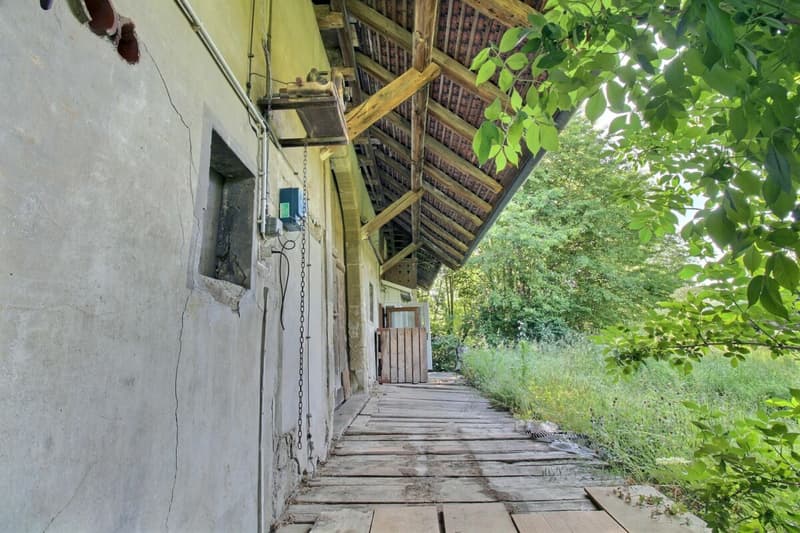 Ferme du Château (10)