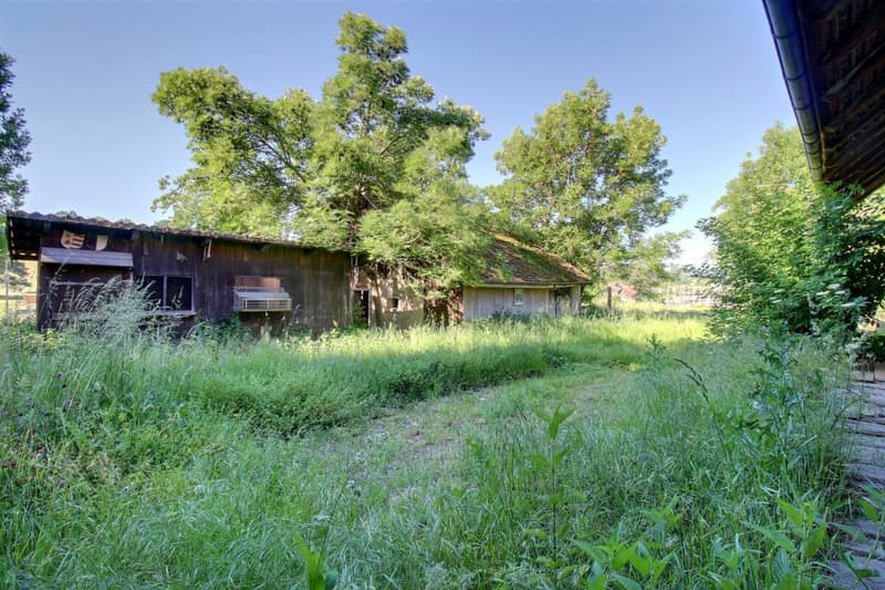 Ferme du Château (11)