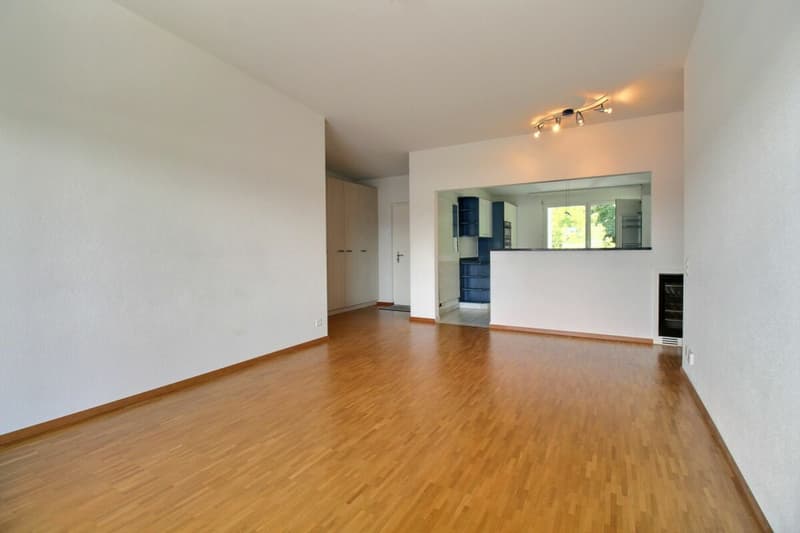 Bel appartement en attique de 4.5 pièces (8)