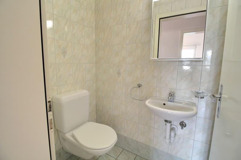 Bel appartement en attique de 4.5 pièces (12)