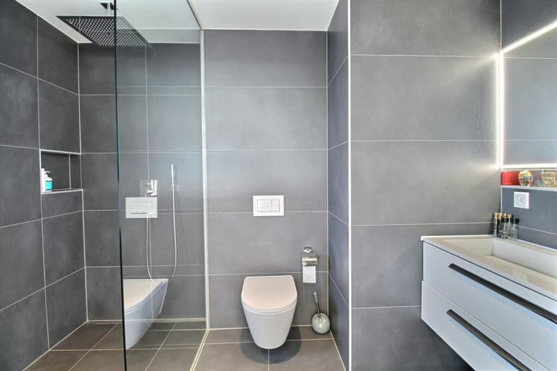 Luxe, espace et sérénité face au Moléson (45)