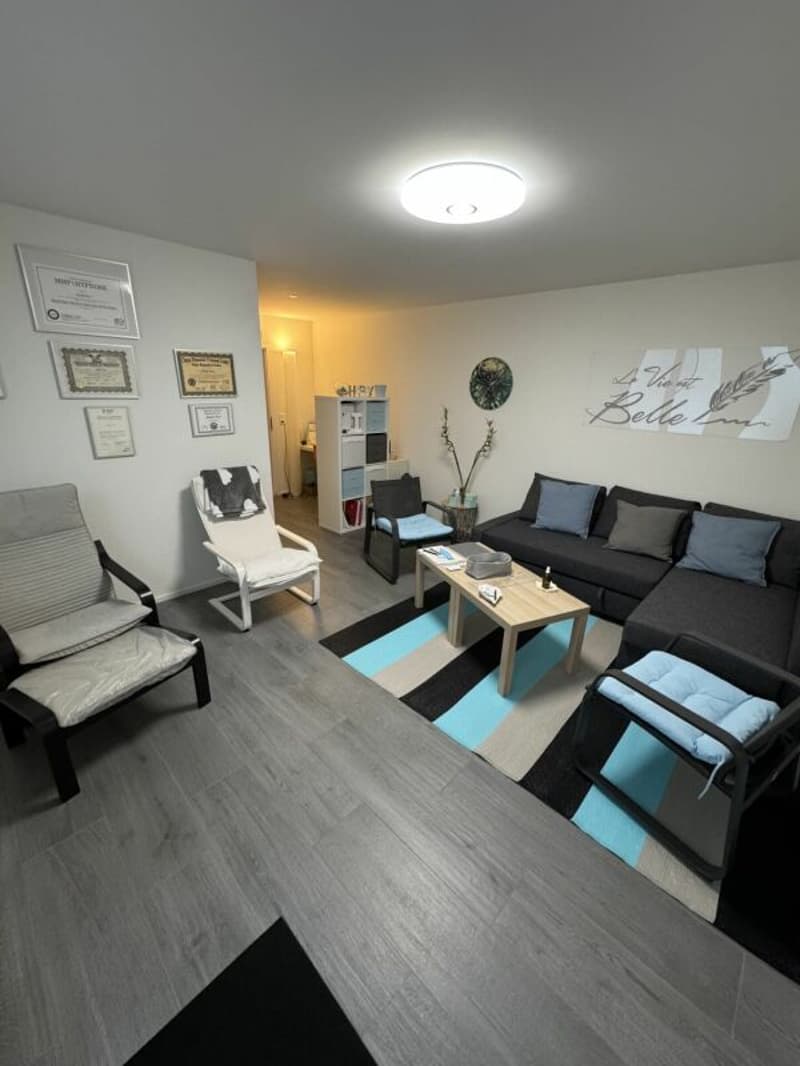 Luxe, espace et sérénité face au Moléson (6)