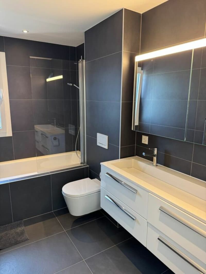 Luxe, espace et sérénité face au Moléson (4)