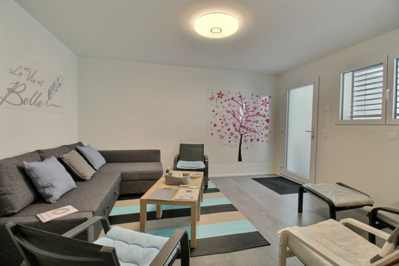 Luxe, espace et sérénité face au Moléson (42)