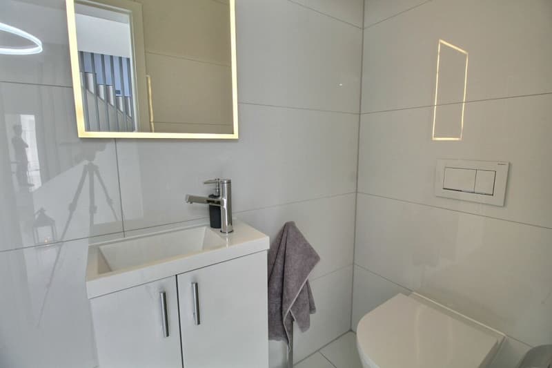 Luxe, espace et sérénité face au Moléson (24)