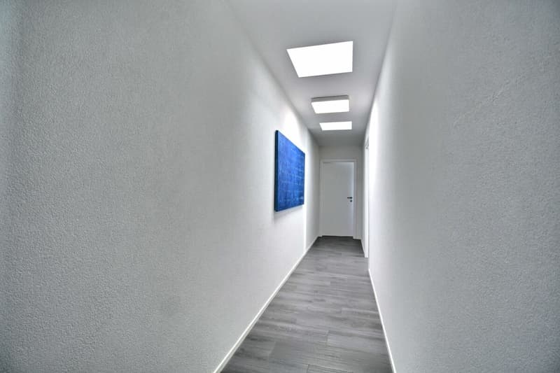 Luxe, espace et sérénité face au Moléson (40)