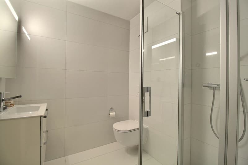Luxe, espace et sérénité face au Moléson (37)