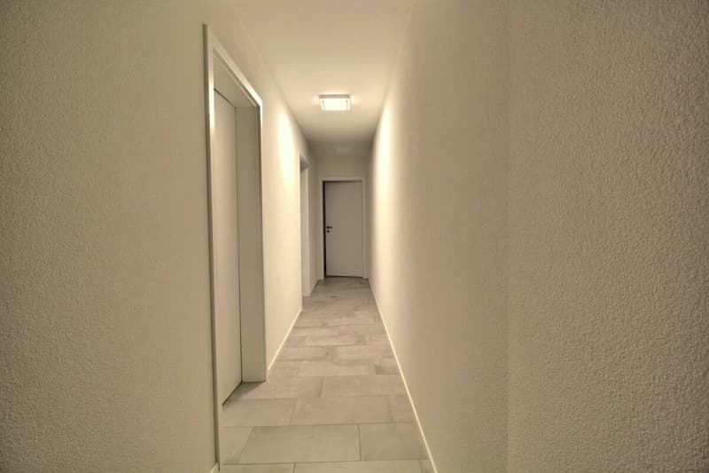 Luxe, espace et sérénité face au Moléson (41)