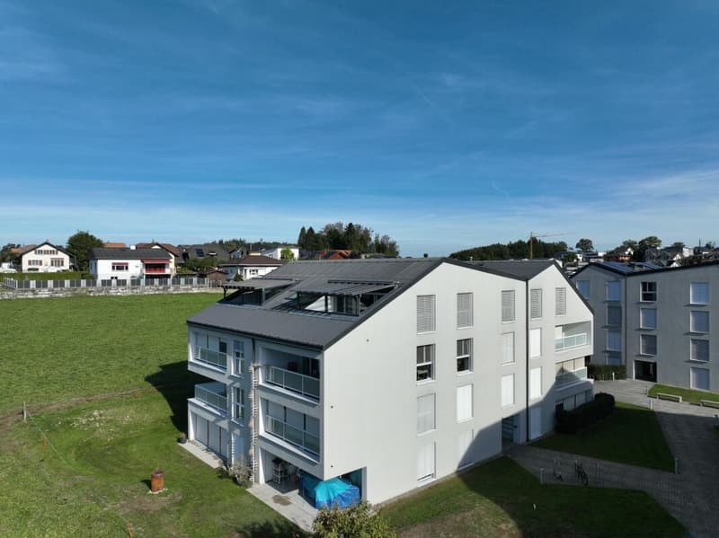 Appartement 4.5 en PPE (11)