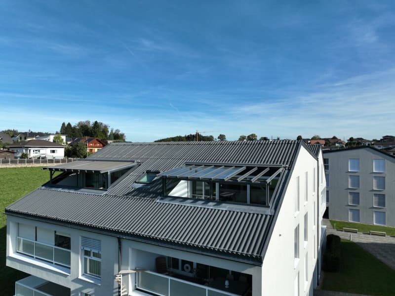Appartement 4.5 en PPE (12)
