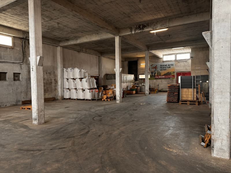 Cugy (FR), à louer, diverses surfaces commerciales, bureaux et dépôts (3)