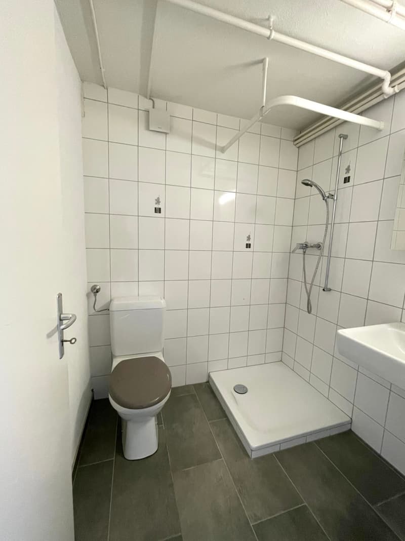 Villars-le-Grand, à vendre, maison rénovée de 4.5 pièces avec terrain (4)