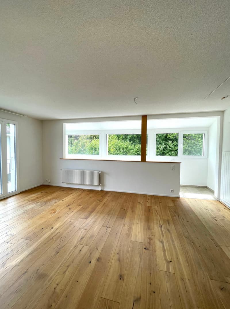 Villars-le-Grand, à vendre, maison rénovée de 4.5 pièces avec terrain (6)