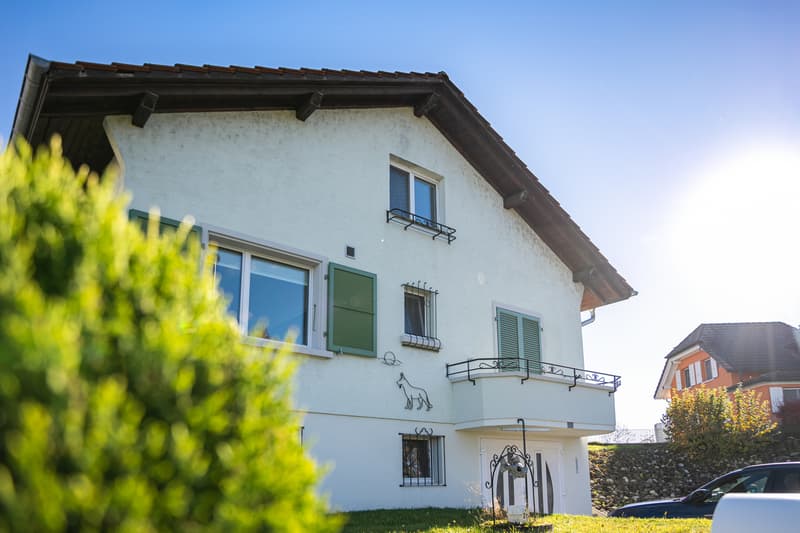 VILLA INDIVIDUELLE RÉNOVÉE DE 5.5 PIÈCES AVEC GRAND JARDIN (11)