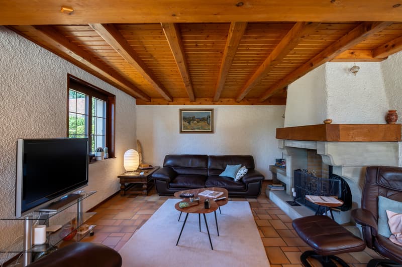 Echallens, à vendre, maison de caractère, 6.5 pièces, parcelle 1228 m2 (6)