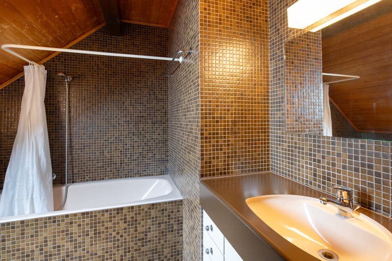 Echallens, à vendre, maison de caractère, 6.5 pièces, parcelle 1228 m2 (9)