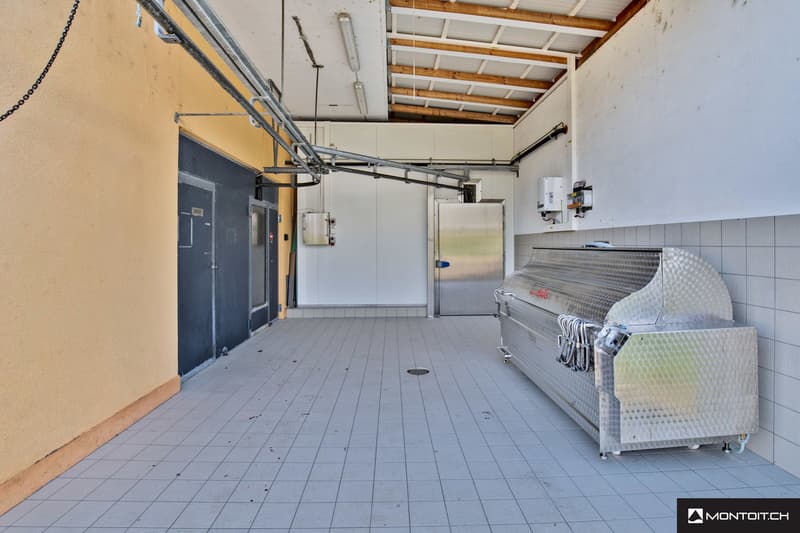 Estavayer-le-Lac, à vendre, bâtiment industriel et artisanal de 200 m2 (9)