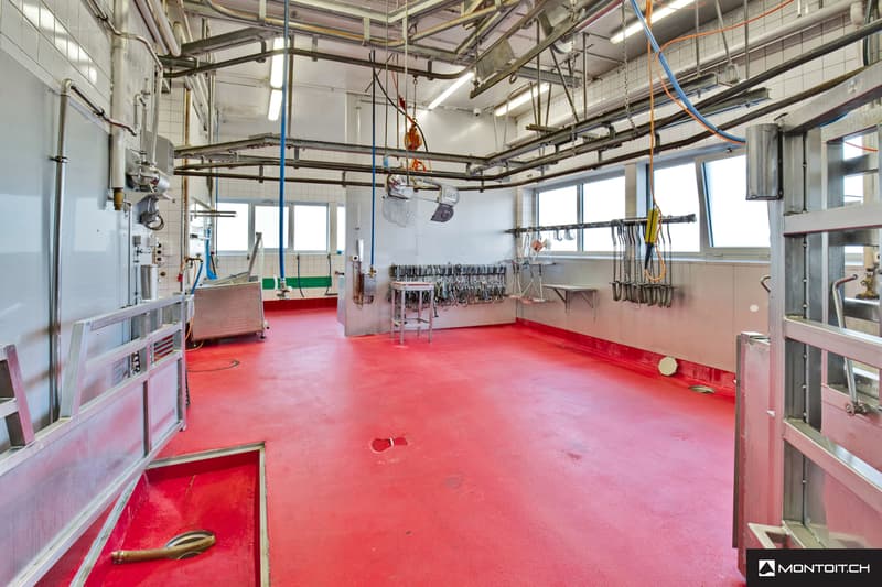 Estavayer-le-Lac, à vendre, bâtiment industriel et artisanal de 200 m2 (6)