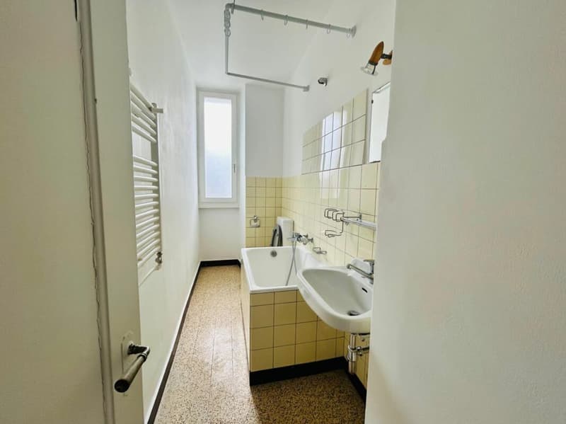 Appartement de 2 pièces avec grande terrasse (4)