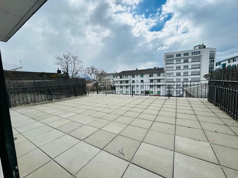 Appartement de 2 pièces avec grande terrasse (1)