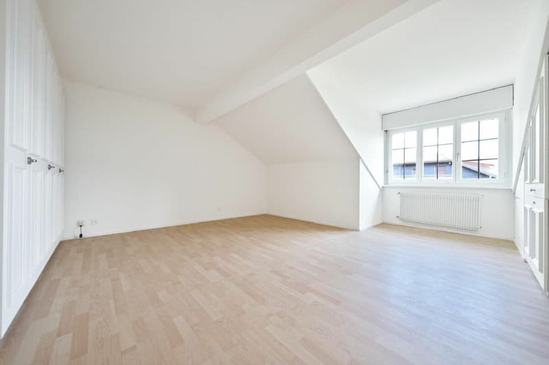 Magnifique appartement de 4.5 pièces en attique - 150m2 (8)