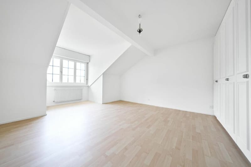 Magnifique appartement de 4.5 pièces en attique - 150m2 (9)