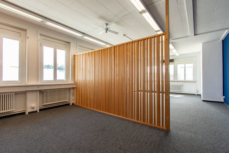 Ihr Büro in Murten (2)