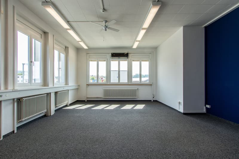 Ihr Büro in Murten (3)
