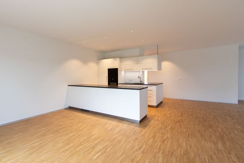 Modernes 7.5-Zimmer-Neubauhaus in Ponthaux - Eleganz & Komfort (4)