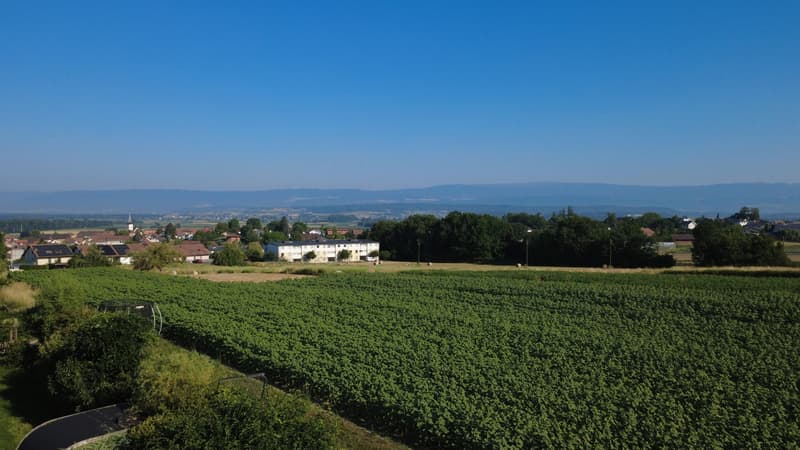 Aussicht Nord / Vue vers le nord