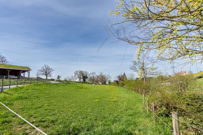 Baulandparzelle / Terrain à bâtir