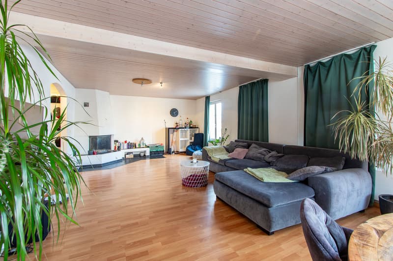 Wohnen / Essen / Salon / manger