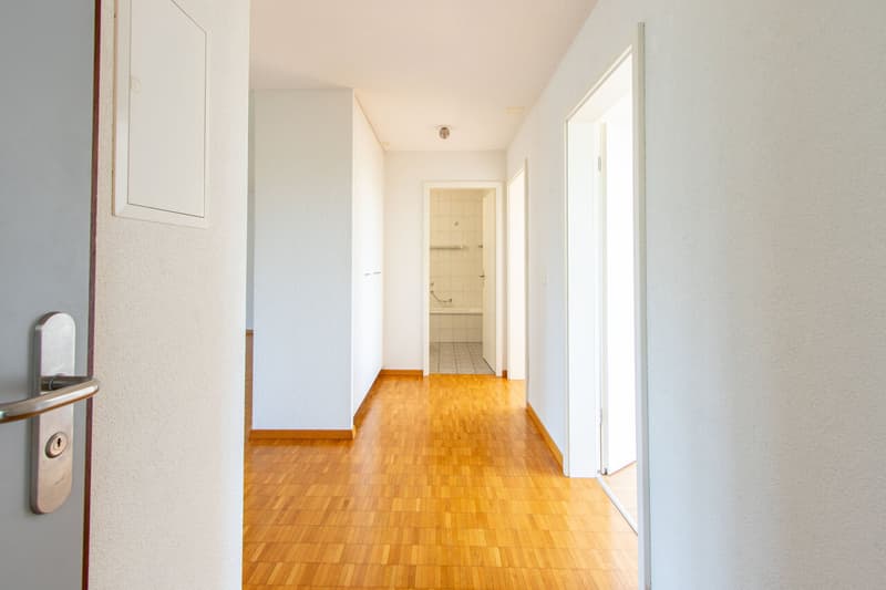 Eingang / Gang / Entrée / Couloir