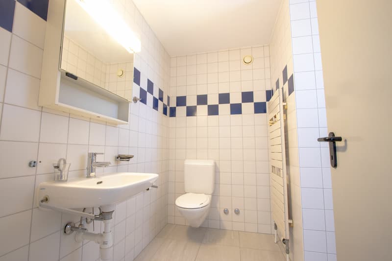 Badezimmer / Salle de bain