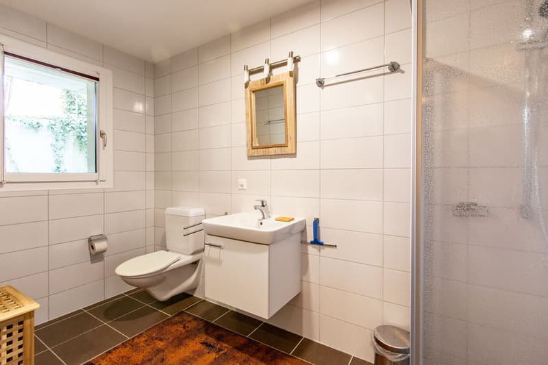 Einliegerwohnung: Dusche / Appartement indépendant: douche