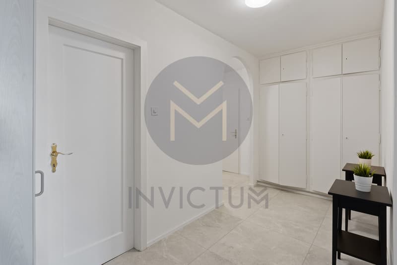 Corridor / an empty room with white walls and a plant on a table
