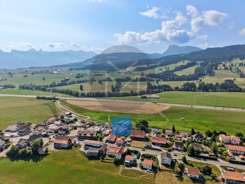 Rez de jardin - www.loreedumoleson.ch - 4.5 105 m2 (2)