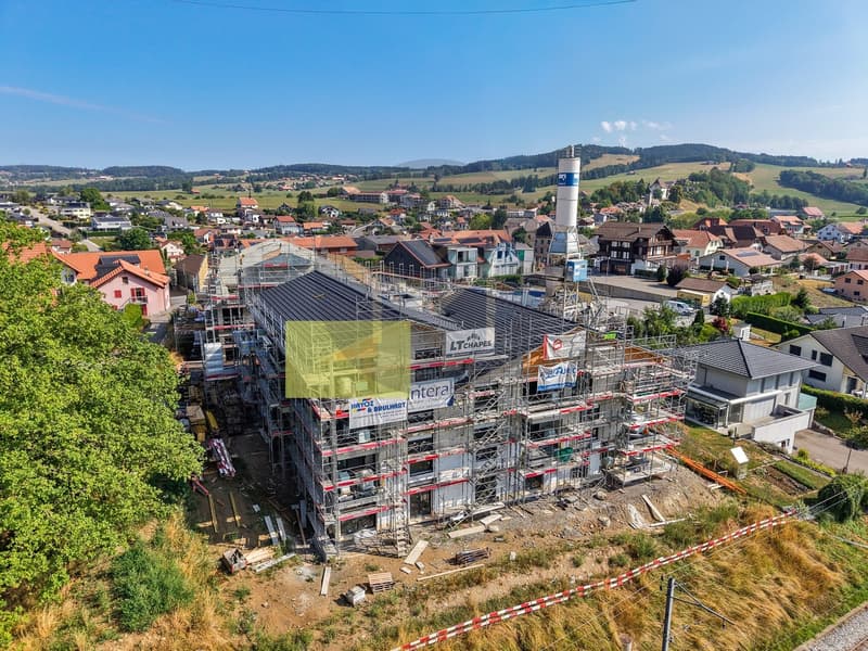 Dernier Attique - www.loreedumoleson.ch - 3.5 85m2 (2)
