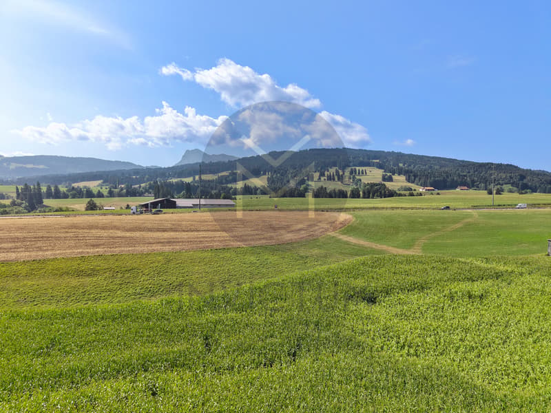 Rez de jardin - www.loreedumoleson.ch - 3.5 102 m2 (8)