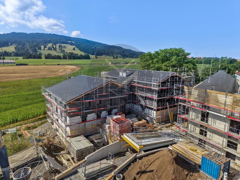 Rez de jardin - www.loreedumoleson.ch - 3.5 102 m2 (3)