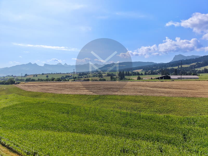Appartement rez de jardin - www.loreedumoleson.ch - 3.5 86m2 (3)