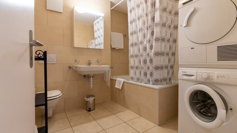 Bathroom with sink, mirror, toilet, and bathtub, along with a white washing machine and dishwasher