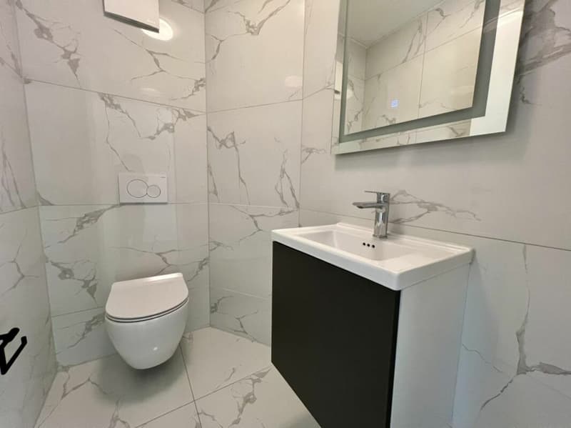 Apartment 4.5 rooms in Domdidier (11)